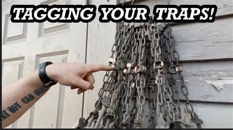 Tag: traps .
